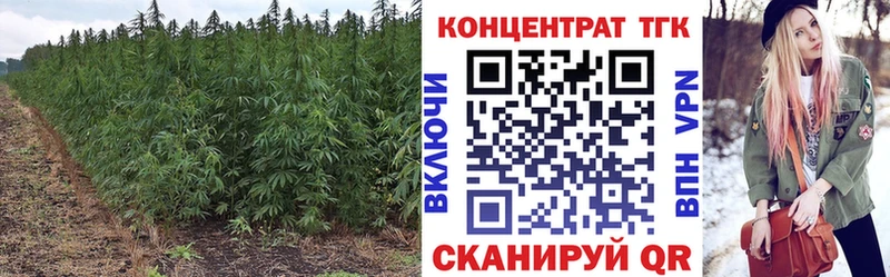 Купить где Малмыж ТГК вейп